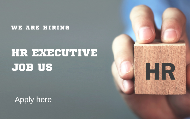 Join our team as a Remote HR Executive! Lead recruitment, streamline HR processes, and drive employee success in a dynamic, full-time role. Apply now!