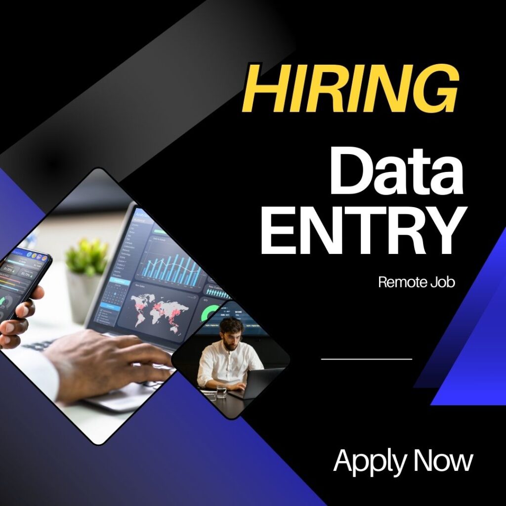 Remote Data Entry Assistant