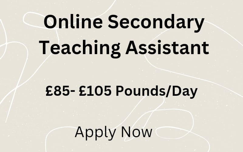 Secondary Teaching Assistant  teaching assistant pay rates