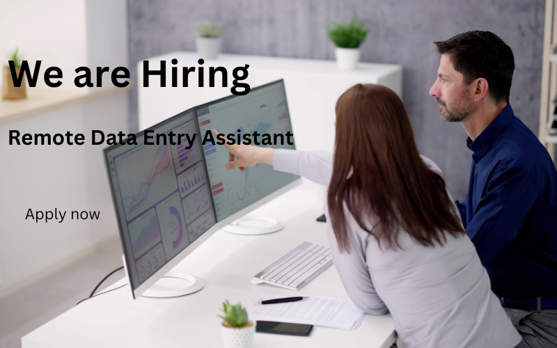 Remote Data Entry Assistant | Flexible Work in the UK