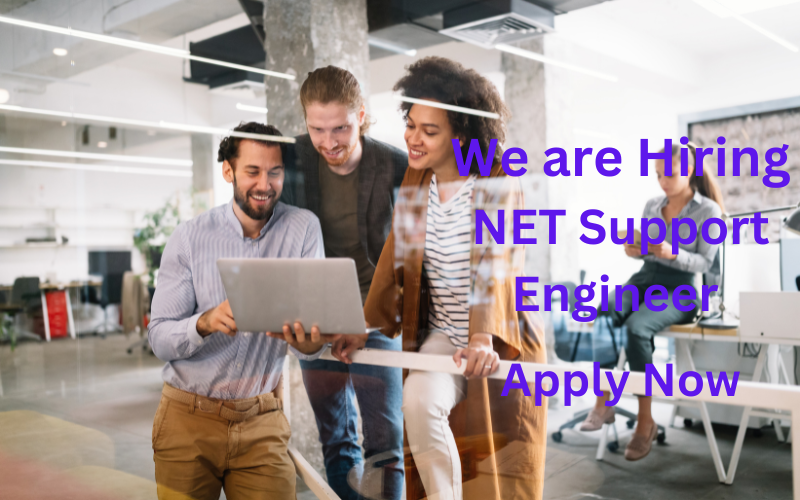 We provide expert .NET support, development, and training to help businesses optimize their software and empower teams with cutting-edge technology skills.