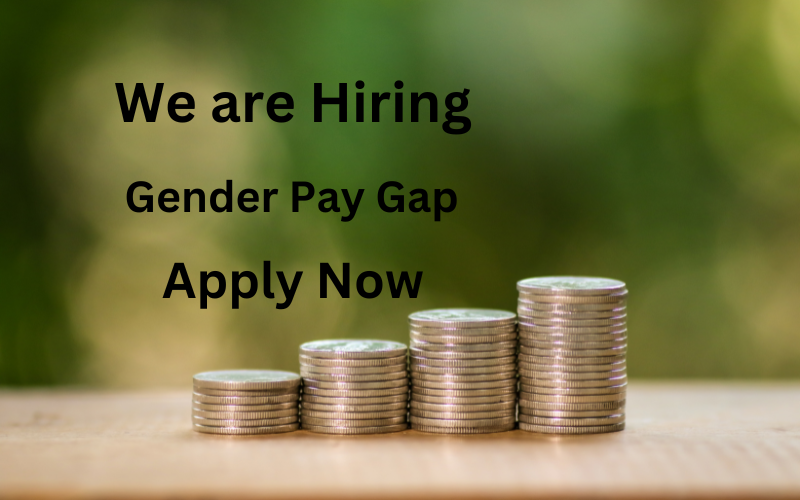 Expert Gender Pay Gap Analyst offering comprehensive reporting and analysis for local authorities. Providing actionable insights to ensure pay equity and compliance.