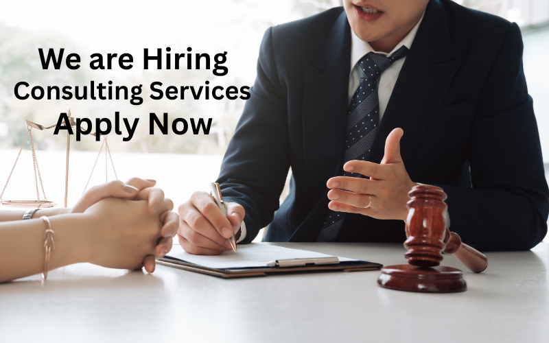 High-level consulting services delivering strategic transformation, operational excellence, and executive advisory support. Earn $50K–$60K/month in the US.