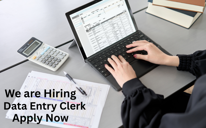 Start your remote career with this entry-level Data Entry job—no experience needed! Earn $20–$30/hour working from home with flexible hours.