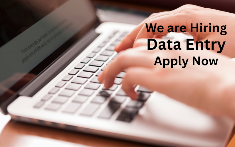 Start earning $20–$30/hour with flexible data entry jobs — no experience needed! Full-time and part-time remote roles available now.