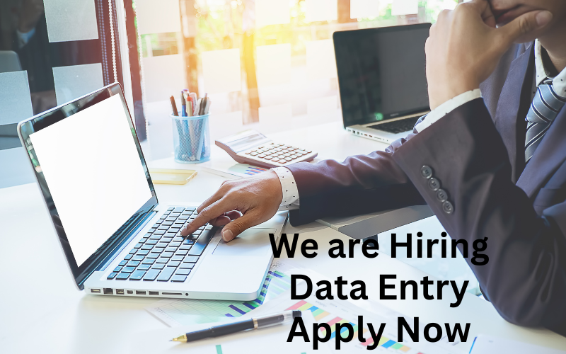 No experience? No problem! Start earning $20–$30/hour with flexible remote data entry jobs from the comfort of your home.
Perfect for beginners, students, and career changers looking for work-from-home freedom