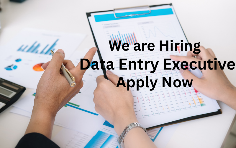 Start your remote career as a Data Entry Executive and earn $20–$30/hour from the comfort of your home.
No experience needed — flexible part-time work with full training provided.