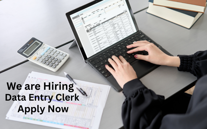 Work from home as an Online Data Entry Clerk and earn up to $300K/year. No experience needed—just accuracy, dedication, and a reliable internet connection!