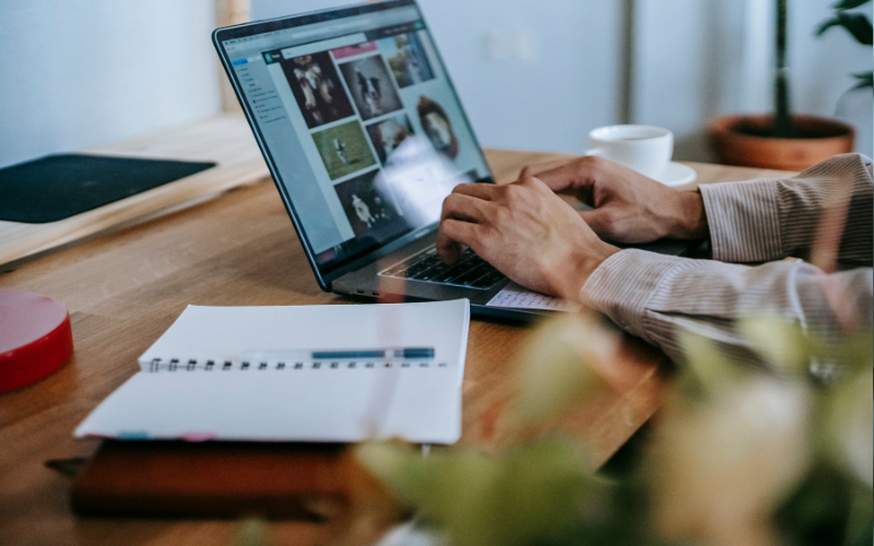 Remote Web Developer Jobs – Earn $15/hr with Flexibility