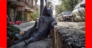 Need a Maid in SoHo? Read This First